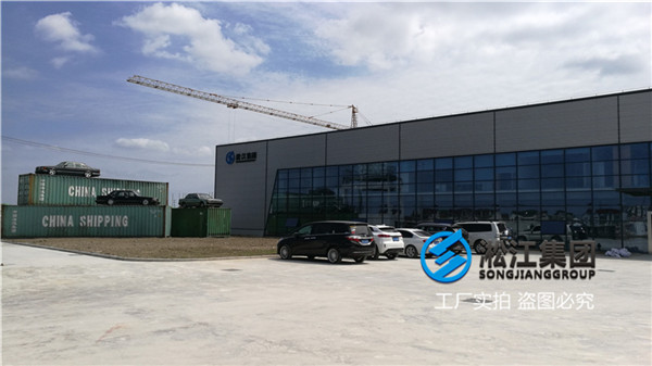 沈陽化工廠水處理用DN150橡膠彈性接頭 沈陽化工廠水處理用DN150橡膠彈性接頭